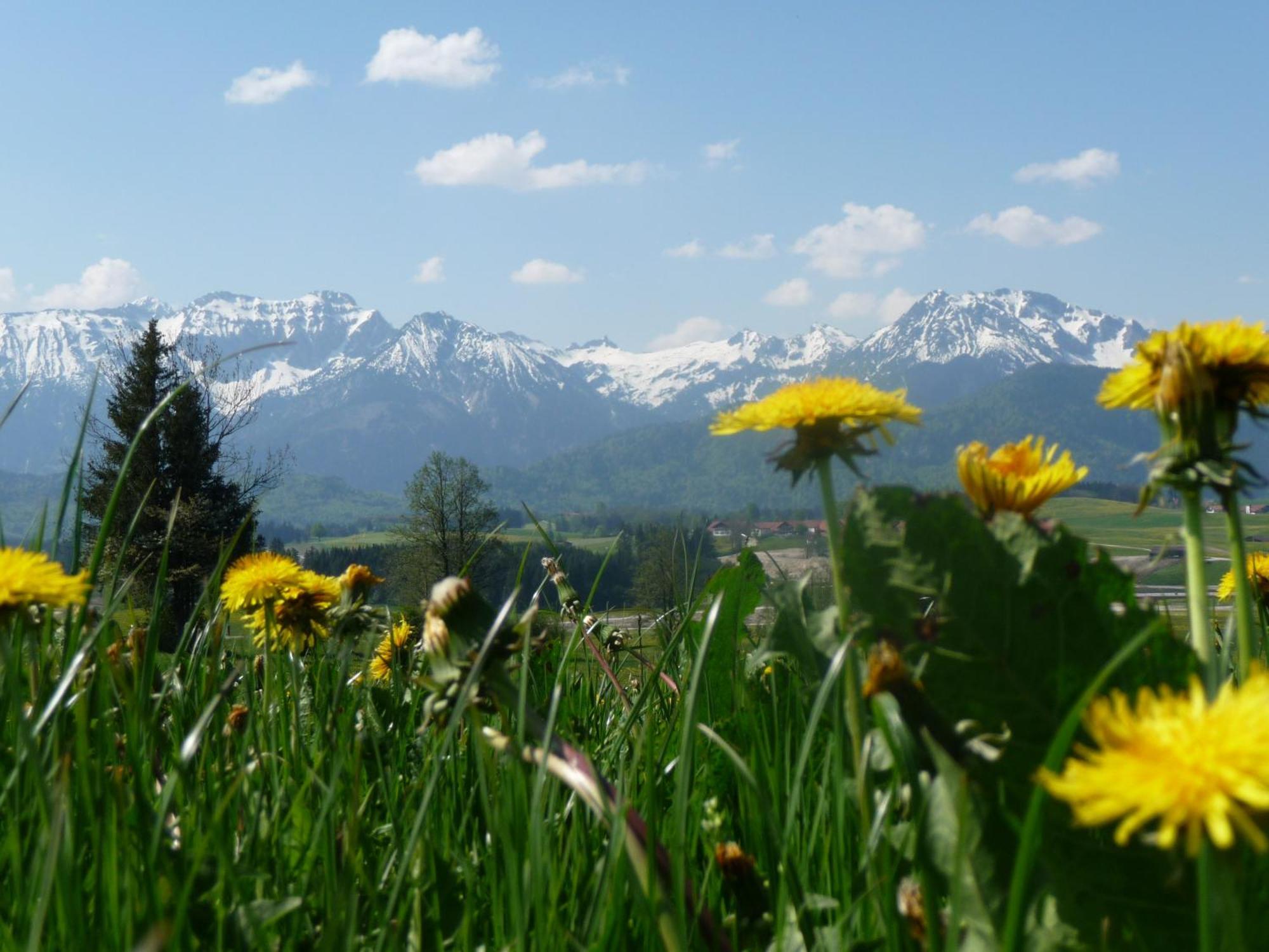 Ferienhaus Mayr - Ferienwohnung Bergblick Füssen Esterno foto