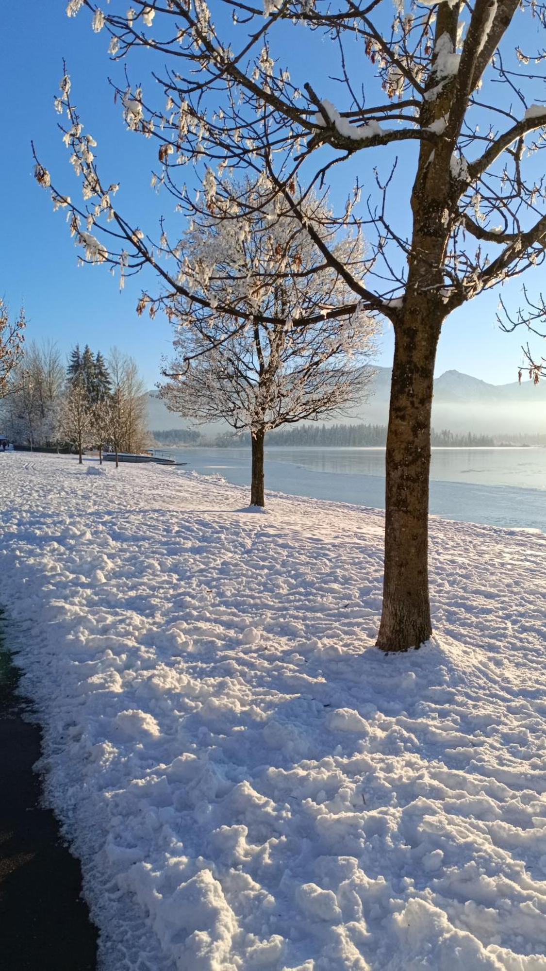 Ferienhaus Mayr - Ferienwohnung Bergblick Füssen Esterno foto